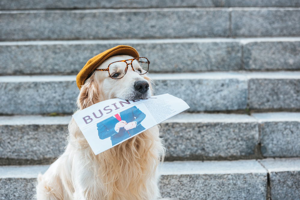 המערכת החכמה שלכם המערכת החכמה שלכם